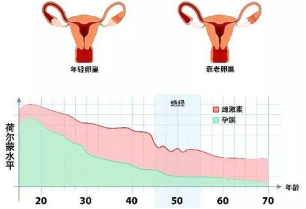 武汉辅助生育费用全解析：从检查到移植要花多少钱？